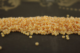 Бисер Япония 10/0 круглый 10 г 0904